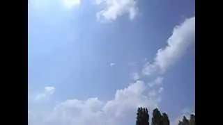 DELTA CINQUANTINO: CODA CORTA !