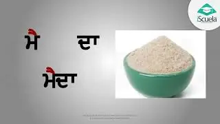 PB | Class1 | Punjabi | Chapter 10 | Dulaa (PSEB)