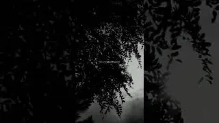 TRAGEDY - УТРО НЕ НАСТУПИТ (SNIPPET) #музыка #sad #tragedy #music #rap
