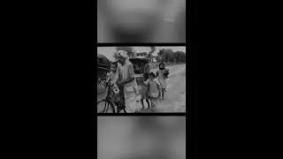 Partition Cost Muslims the Most