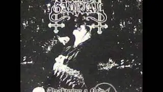 ┼Baal Gadrial┼