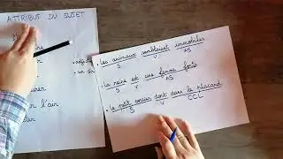 Leçon Attribut du sujet