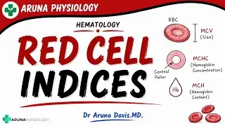 Индексы эритроцитов | Физиология | Первый год MBBS