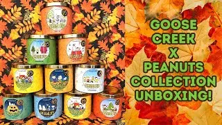Распаковка коллекции Goose Creek X Peanuts!