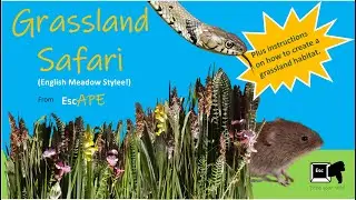 Grassland safari - wildlife in the undergrowth