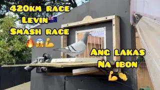 420km RACE LEVIN TO AUCKLAND🇳🇿 SMASH RACE GRABE HIRAP NG IBON😱
