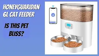 REVIEW (2025): HoneyGuaridan 6L Cat Feeder. Features
