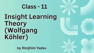 'Insight Learning Theory (Wolfgang Kohler)' CDP/ CTET/ TET/ #teachingexams #cdp 