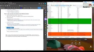 Exploring TCPView Software
