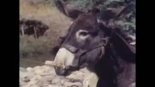 The Life and Times of Grizzly Adams | s01e11 | Beaver Dam
