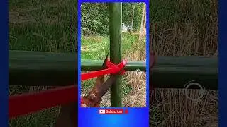 Easy Bamboo Fixing Techniques | Strong & Practical DIY Solution