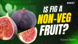 Is Fig a Non-Veg Fruit? | NEET 2025 Biology | Fig-Wasp Mutualism Explained with NCERT