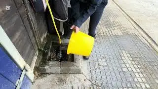 watering - preparing water buckets equine unit 6
