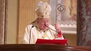 Cardinal Burke: Forces of the 'Great Reset' have used COVID to advance 'evil agenda'