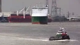 Thames Shipping by Richie Sloan, The MISANA leaving Tilbury.