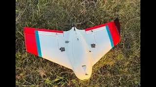 Flight of the Flik Wing