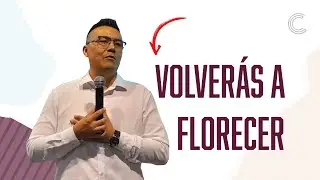 Volver&aacute;s a florecer