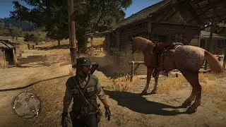 Red Dead Redemption - Reality Redemption Mod