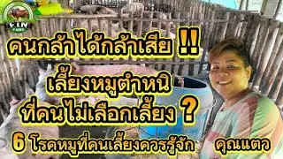 คนกล้าได้กล้าเสีย !! 6 โรคหมูที่คนเลี้ยงควรรู้จักไว้จะดีมาก ? และเลี้ยงหมูตำหนิที่คนไม่เลือกเลี้ยง