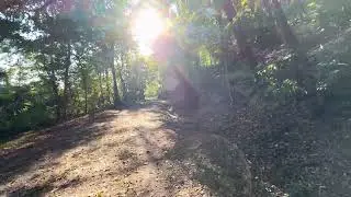 Schenley Park Trail and Carnegie Mellon University - 10/08/25