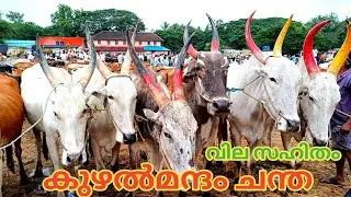 കുഴൽമന്ദം ചന്ത | 23/7/22 | kuzhalmannam chandha | Buffalo | Cow | TECH AND VLOGS