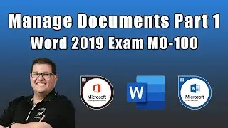 Экзамен Word 2019 MO-100 &mdash; Управление документами, часть 1