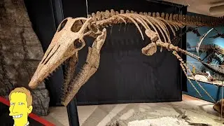 VANCOUVER ISLAND VISITOR CENTRE & COURTENAY PALEONTOLOGY CENTRE