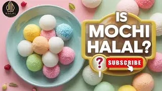 Is Mochi Halal? | Halal or Haram Ingredients Explained