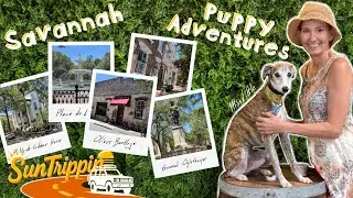 Next Exit: Savannah, GA | Oliver Bentley&rsquo;s Walk & the City&rsquo;s Pawsome History