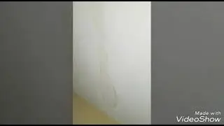 Ceiling repair due to leaking pipe