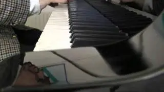 Steinway Model D 1916 Hamburg - Jan Eyron