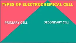 PRIMARY AND SECONDARY CELL