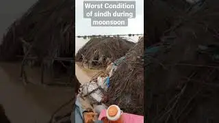 Worst condition of villagers of Sindh Government failed to relief them #ppp #sindhgovernment