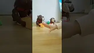 bad dog barked #toy#asmr #satisfying #puppy dog#shorts
