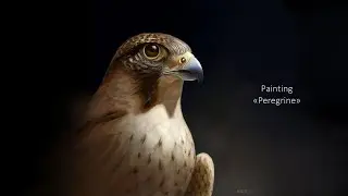 Digital Painting Process - Peregrine