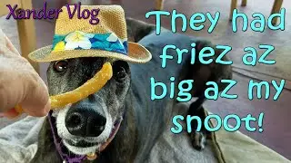 Greyhound has GIANT french fries! 🍟 | The Shed - Old Homosassa, FL | Life with a retired racer