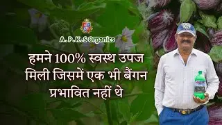 [ HINDI ] Coimbatore Brinjal Farmer Mr. Muthukumar Shares His Amazing Results!