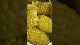 DUTCHPINAY MIX VLOG is live THAT IS HEALTHY FOOD THE CORN.