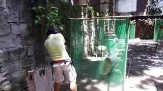 aelem alcantara qclegc 4