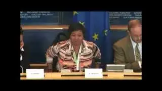100YSS @ EU Parliament - Questions and Answers