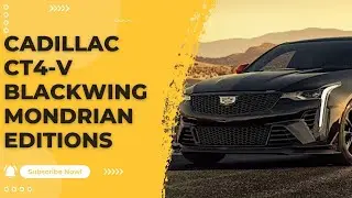 Новая серия V CT4 V Blackwing Mondrian Editions. Ограниченная серия, посвященная 20-летию Per