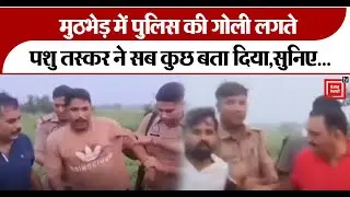 Chitrakoot police encounter:पुलिस और पशु तस्कर के बीच मुठभेड़:दो बदमाश घायल , 5 गिरफ्तार