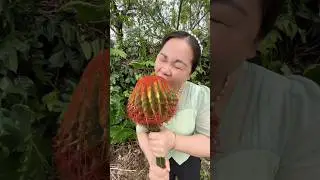 Feast your eyes on all kinds of exotic fruits #fruit # # Shorts # Natural