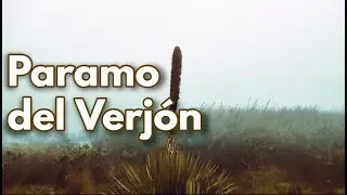 Paramo Verjon - Parque Ecol&oacute;gico Matarredonda