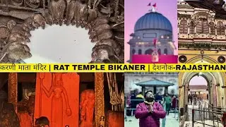 Rat Temple Bikaner | Karni Mata Temple Deshnoke | करणी माता मंदिर-देशनोक | Rajasthan Tourism #vlog