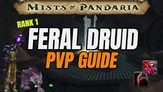Feral Druid PvP Guide | MoP Classic
