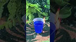 Look what the guy discovered by setting  small cup fire.&rdquo;#CrazyExperiment#FireTrick#MindBlowing#Life