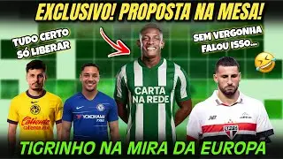 🚨NEGÓCIO COM BOTAFOGO POR DANILO! VITOR ROQUE PEDIDO | VEIGA TUDO CERTO | CALLERI FALOU A VERDADE?