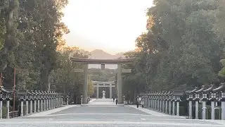 〜Prayer〜 NARA KASHIHARA JINGU Shrine〜祈り〜奈良 橿原神宮⛩️#Japan  #praying #ShrineWalk #shrine #自然界隈 #旅行 #癒し 