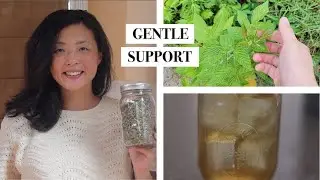 Making a Tea Blend for Pregnancy | Full of Vitamins and Minerals!